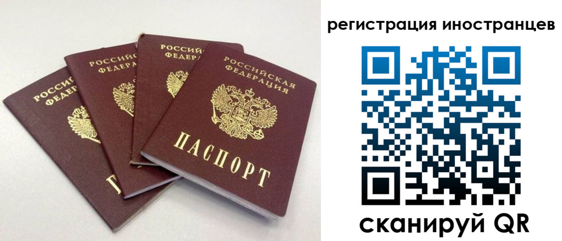 временная регистрация для школы в Сегеже